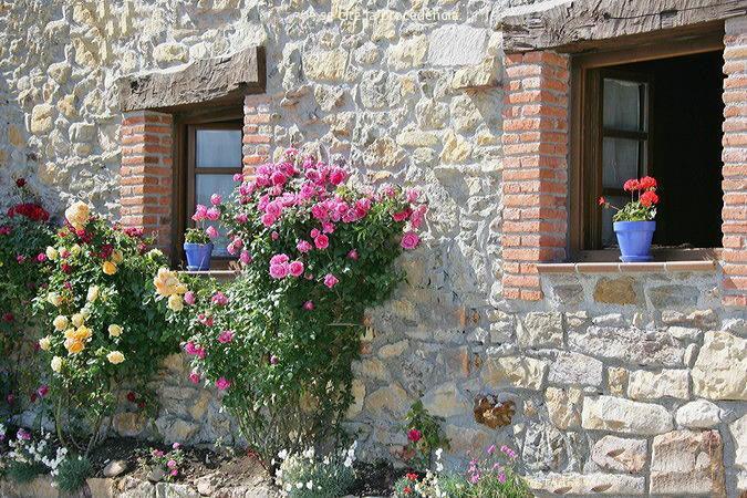 La Xica Ll Country house Becena